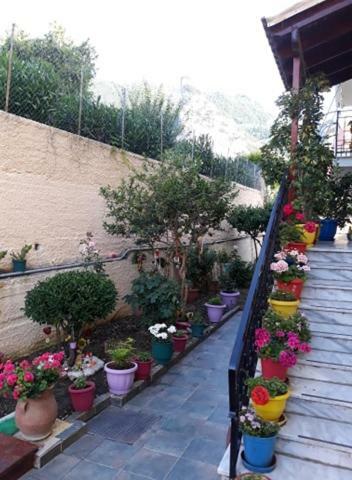 Appartement Margaritas' *