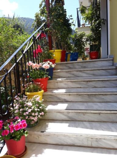 Margaritas' Appartement Agios Gordios (Corfu)
