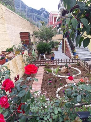 Margaritas' Appartement Agios Gordios (Corfu)